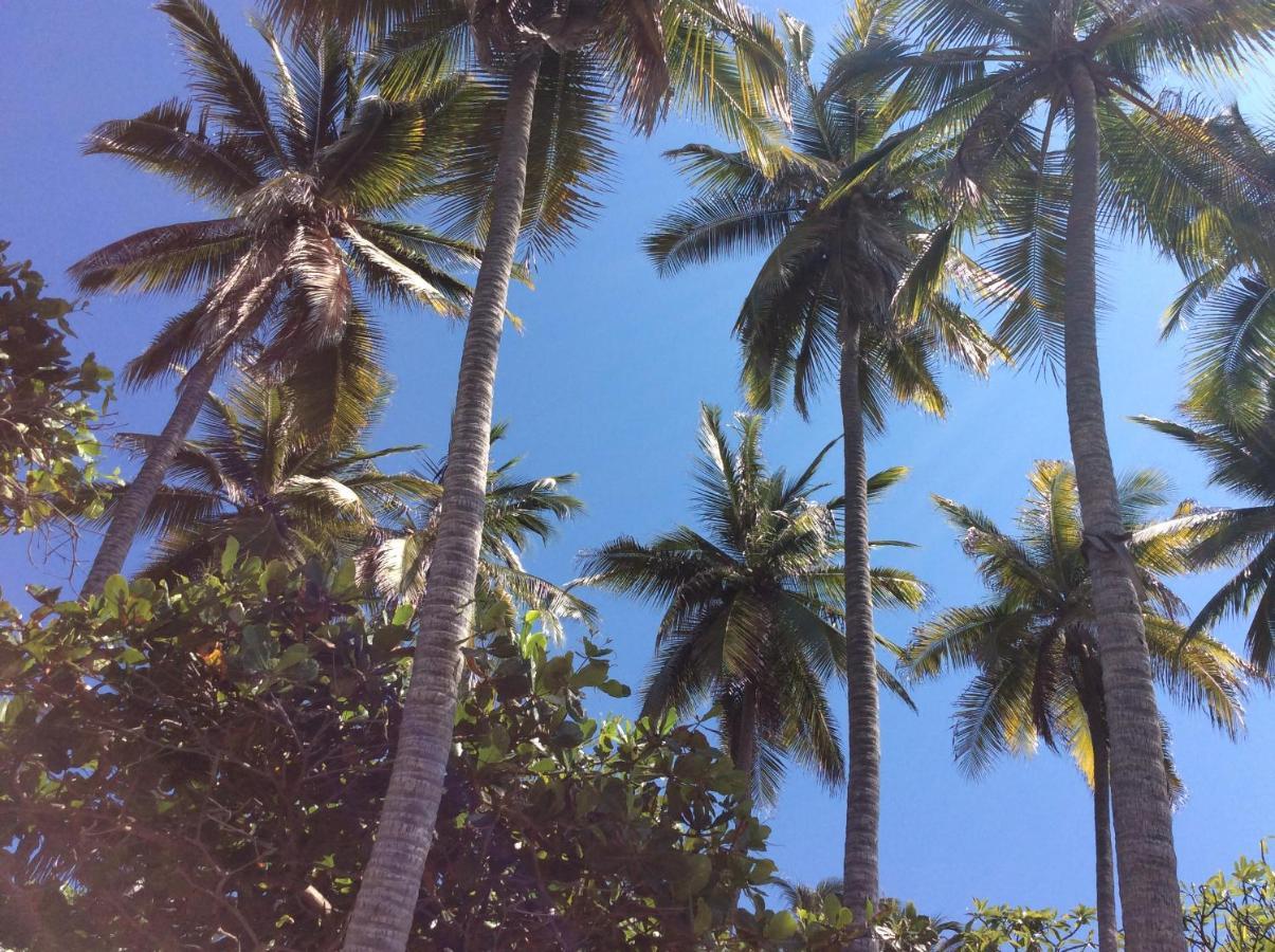 Donde Mira El Sol Retirado Y Espacioso Con Condiciones Ideales Pasar La Contingencia Con La Mayor Seguridad Hotel Acapulco