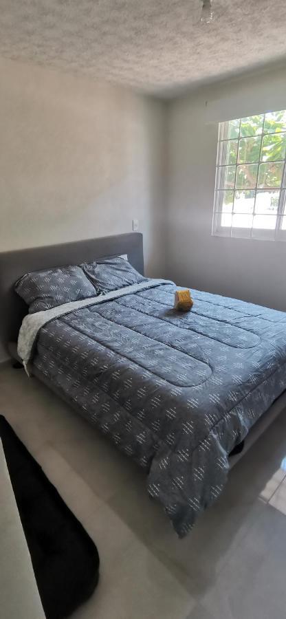 Marina Diamante Hermoso Y Lujoso Departamento Apartamento Acapulco