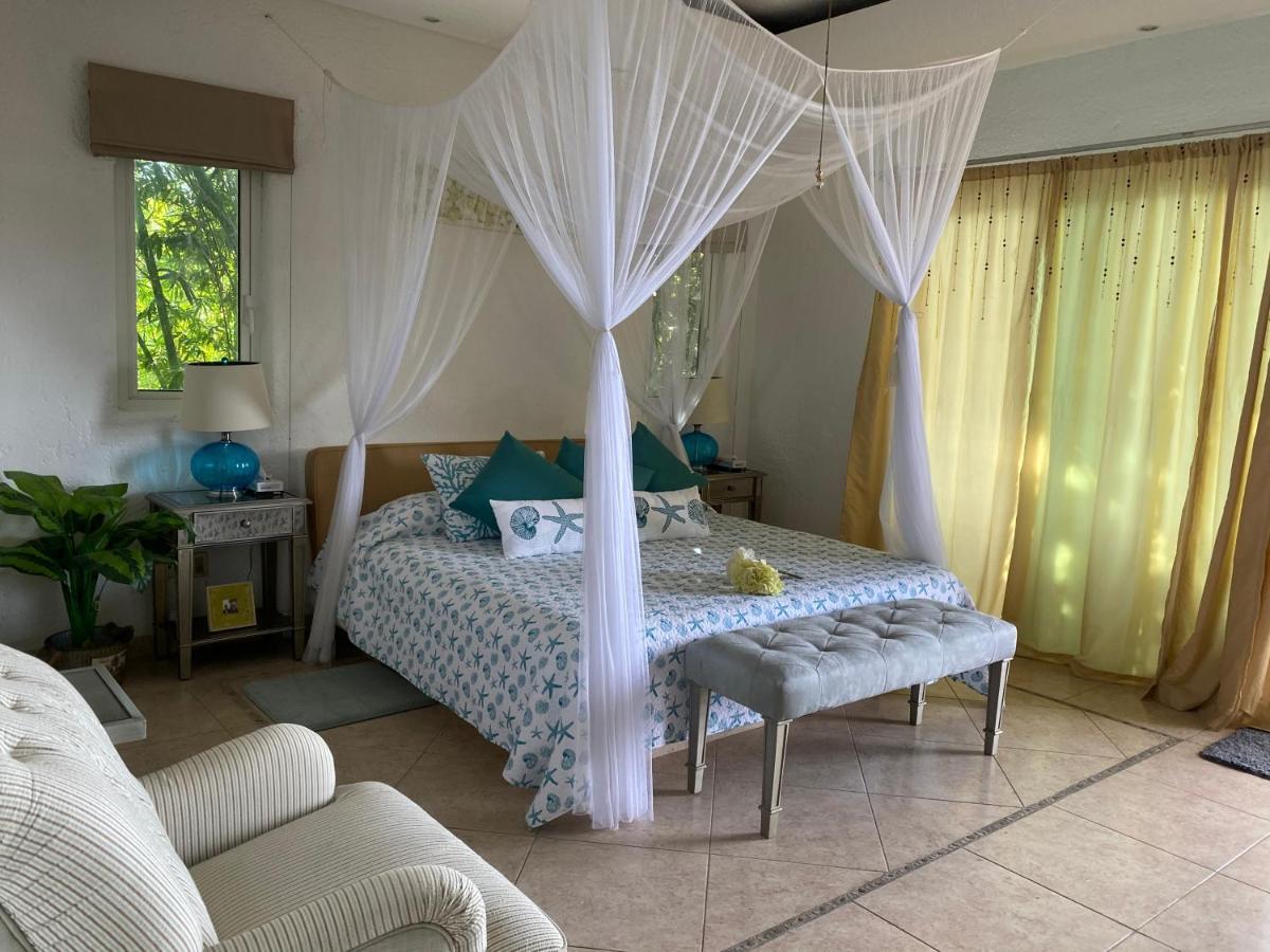 Apartamento Ave Del Paraíso *