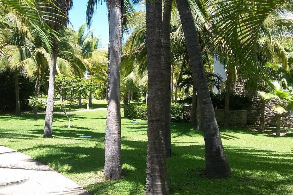 Apartamento La Isla Residences Abierto De Tenis 23