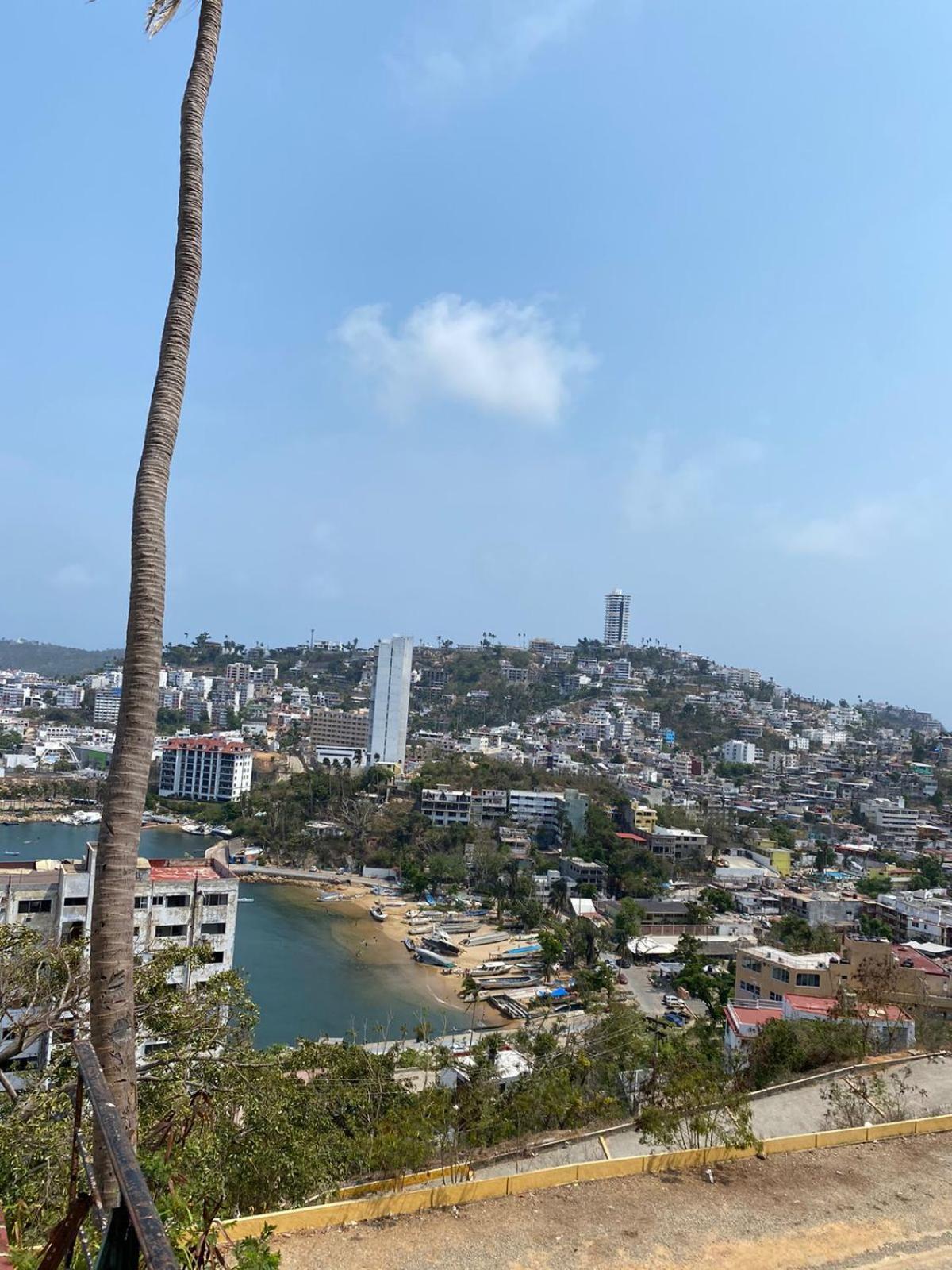 Palmas Acapulco