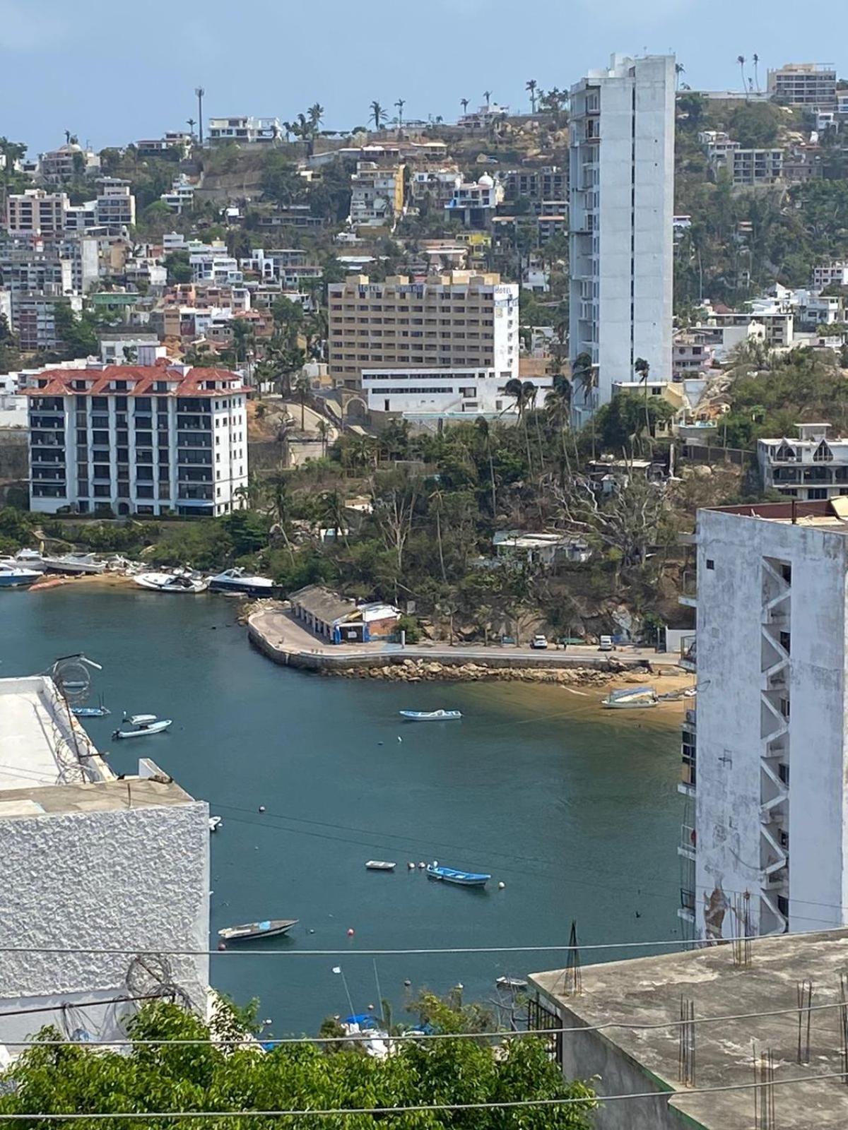 Palmas