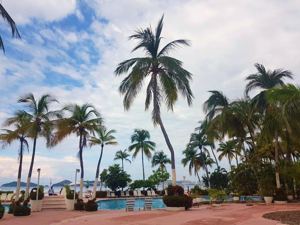 Apartamento Penthouse La Palapa *